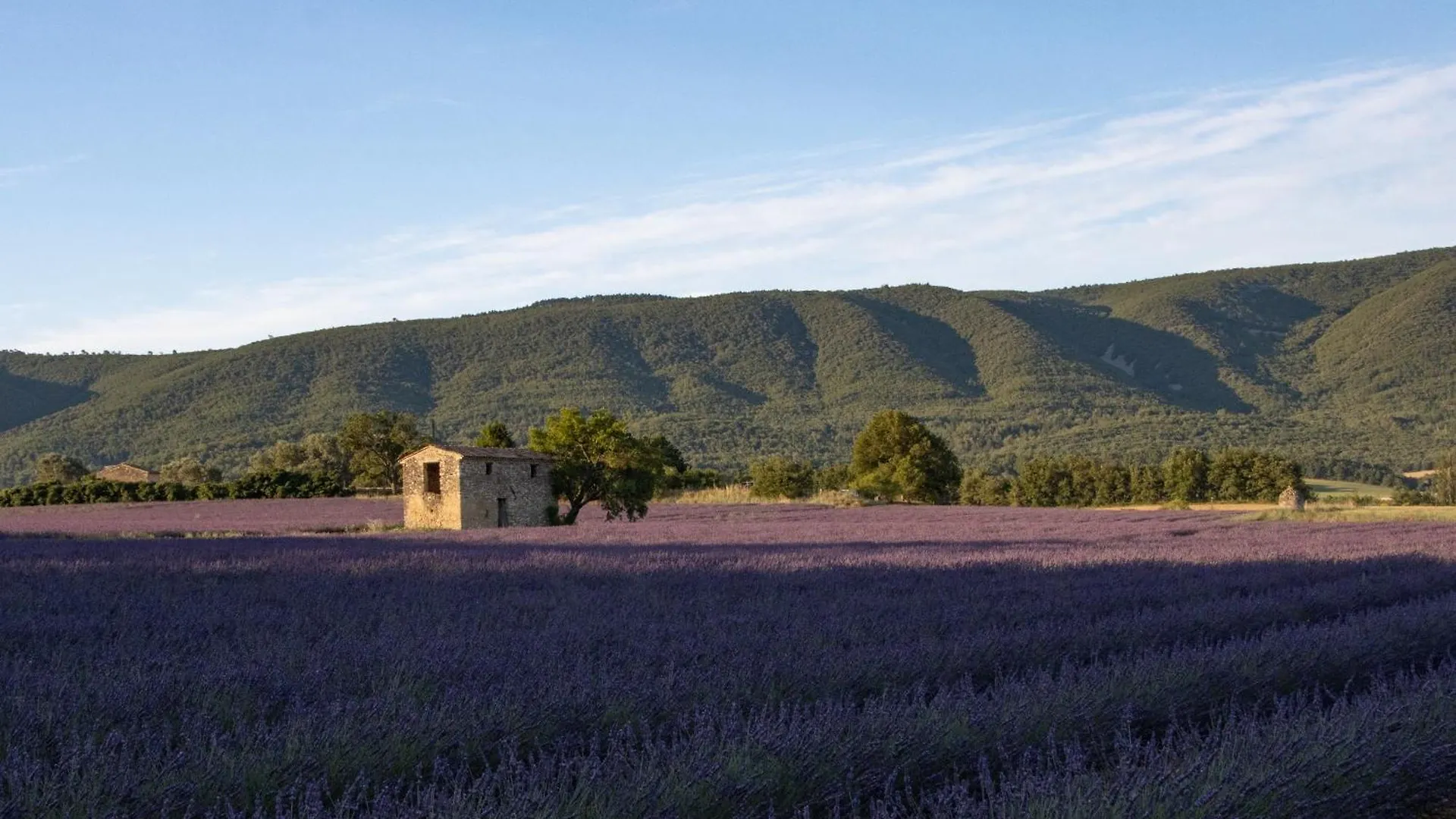 Céreste Studio Dans Le Luberon 0*,  צרפת