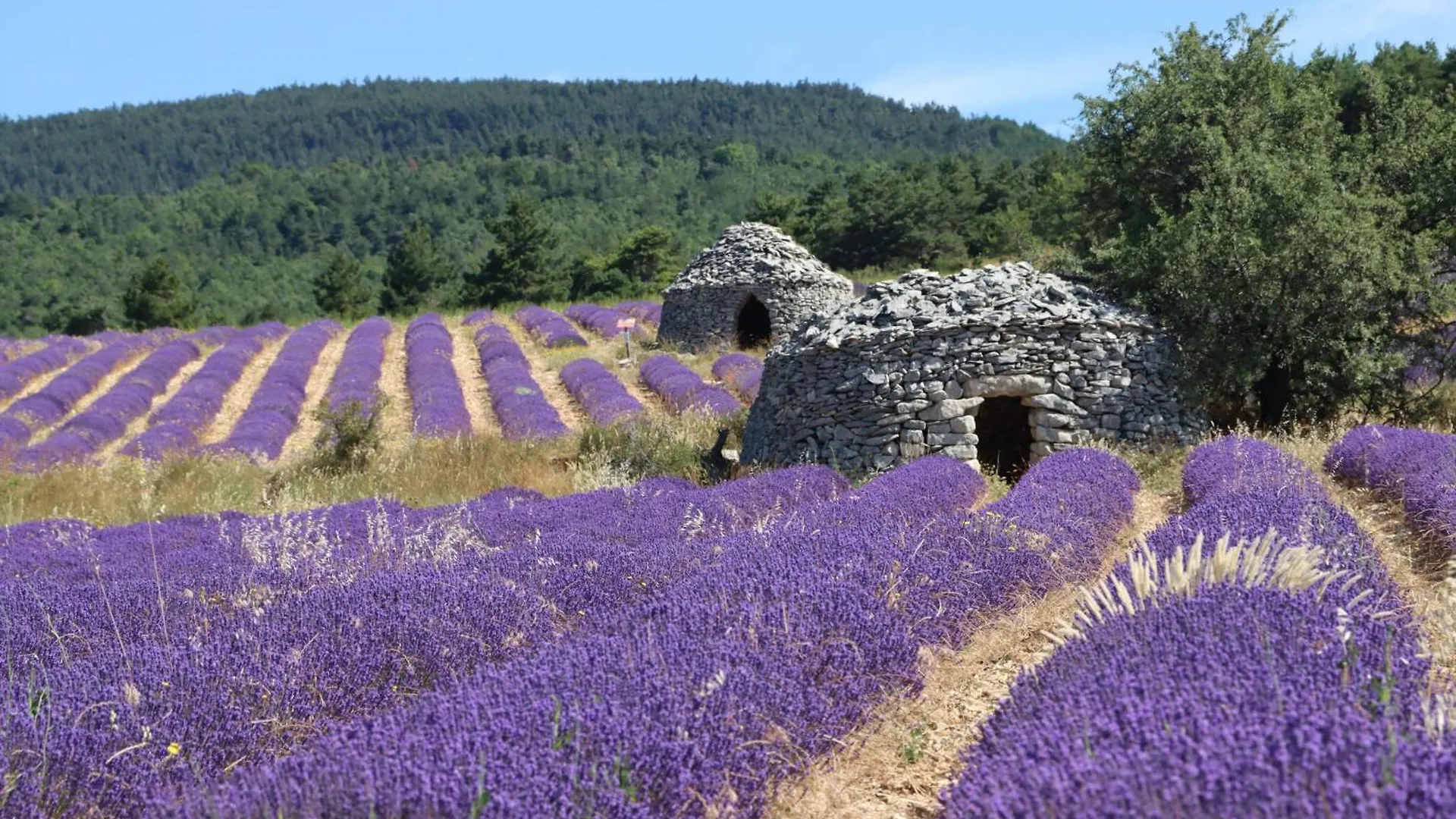 Céreste Studio Dans Le Luberon בית אירוח