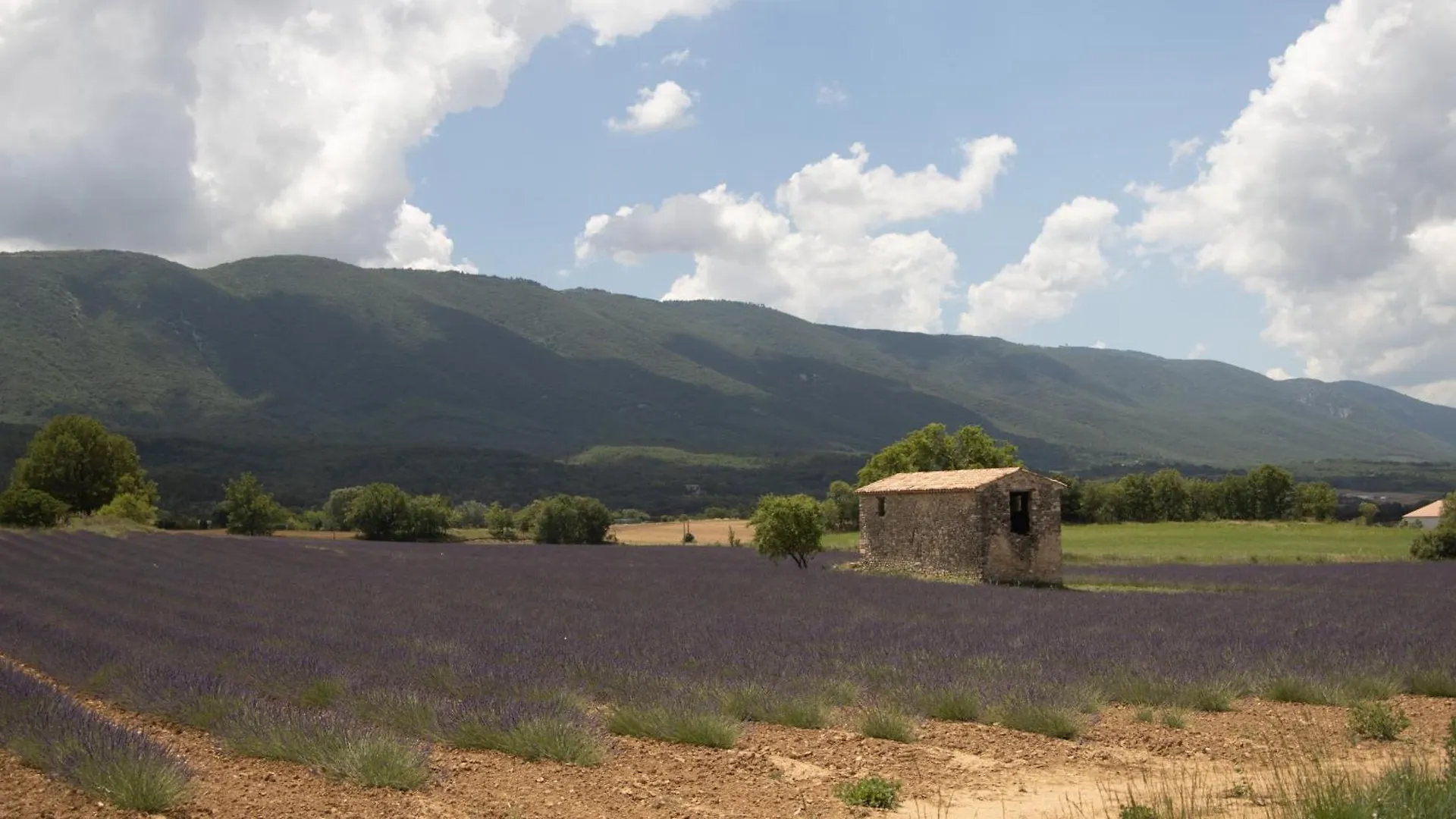 בית אירוח Céreste Studio Dans Le Luberon