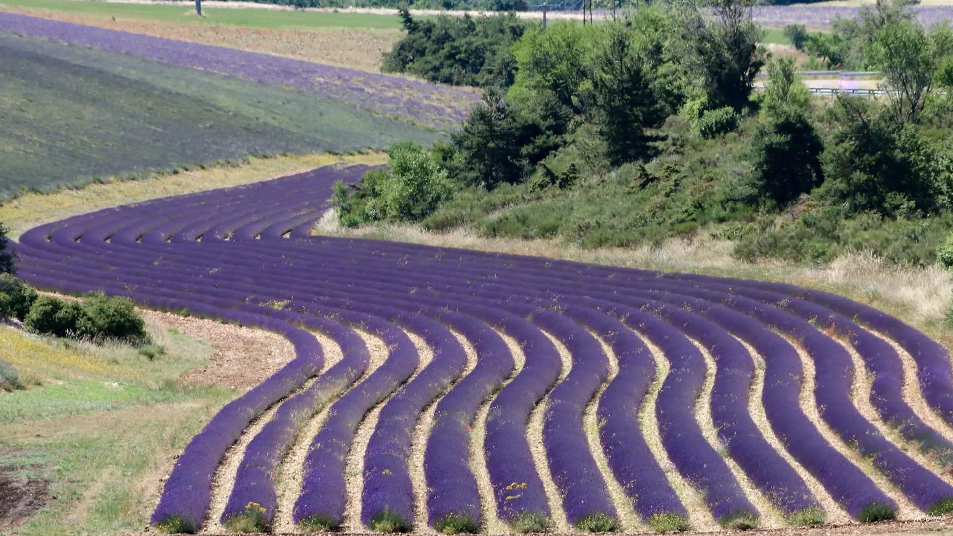 בית אירוח Céreste Studio Dans Le Luberon צרפת